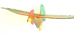 Color painting wooden flying bird