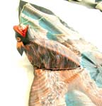 Brown eagle kite