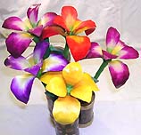 FLOWER100SS.jpg (17509 bytes)