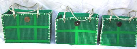 BAG13GREEN.jpg (23601 bytes)