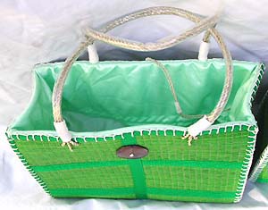 BAG13M.jpg (22767 bytes)