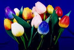closedtulip.jpg (16318 bytes)