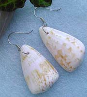 Half-shell fashion seashell earring with fish hook for convenience closure 