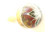 Bali dotted painting wooden music maracas with flower feature