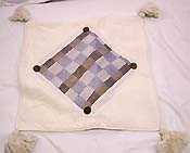 CUSH1SS.jpg (11000 bytes)