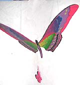 FLYING2SS.jpg (11800 bytes)