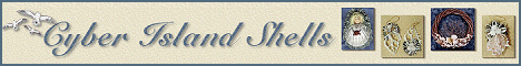 cybershellsbnr.gif (24729 bytes)