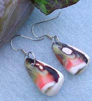 Green and red color half-shell fashion seashell earring with fish hook for convenience closure