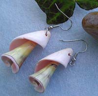 Fashion seashell earring in carved-out spiral pattern design with fish hook back