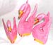 SWAN.jpg (7642 bytes)